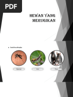 7700 Koleksi Gambar Hewan Yang Merugikan Manusia Gratis