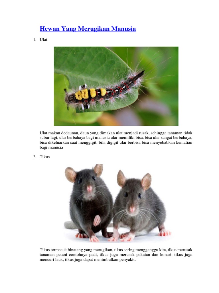 7700 Koleksi Gambar Hewan Yang Merugikan Manusia Gratis