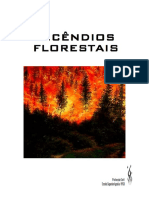 24962433-Incendios-Florestais.pdf