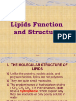 Lipids Function and Structure