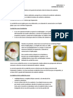 Cavidad de acceso endodóntico: objetivos y etapas