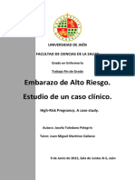 TFG_ToledanoPelegrin,Josefa.pdf