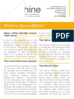 what-is-spina-bifida.original.pdf