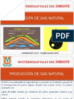 PRODUCCIÓN DE GAS NATURAL.pptx