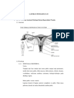 LP Partus Normal