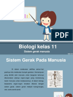 Sistem Gerak Manusia (Biologi Kelas 11)(1)