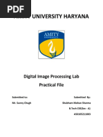 Digital_Image_Processing_Lab_Practical_F.docx