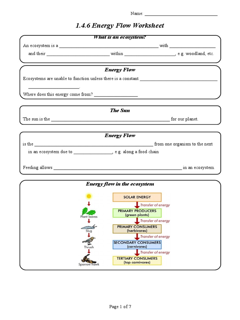 21.21.21 Energy Flow Worksheet  PDF  Food Web  Systems Ecology Pertaining To Energy Flow In Ecosystems Worksheet