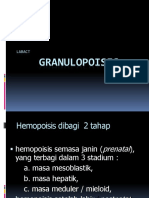 fbs2 Granulopoisis