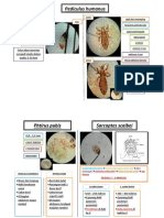 Parasitologi