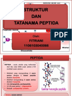 Peptida