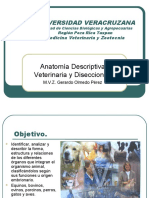 Anatomia descriptiva animales domesticos.pdf