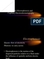 Capillary Electrophoresis and Capillary Electrochromatography