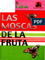 Moscas Fruta PDF