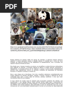 Imagens Animais Ultima (3)