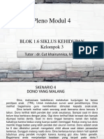 Pleno Modul 4 SP 1.6