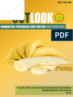 Outlook Pisang 2016