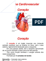 Aula Anatomia Revisão