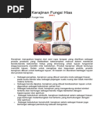 Rangkuman Kerajinan Fungsi Hias Pdf