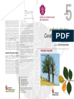 05-Ophiostoma+novo-ulmi.pdf