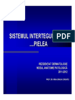Rezidentiat Dermato 04 Final PDF