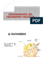 Endocrinologia Del Crecimeinto Folicular y Ovulacion