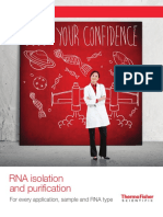 RNA Purification
