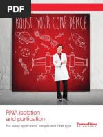 RNA Purification