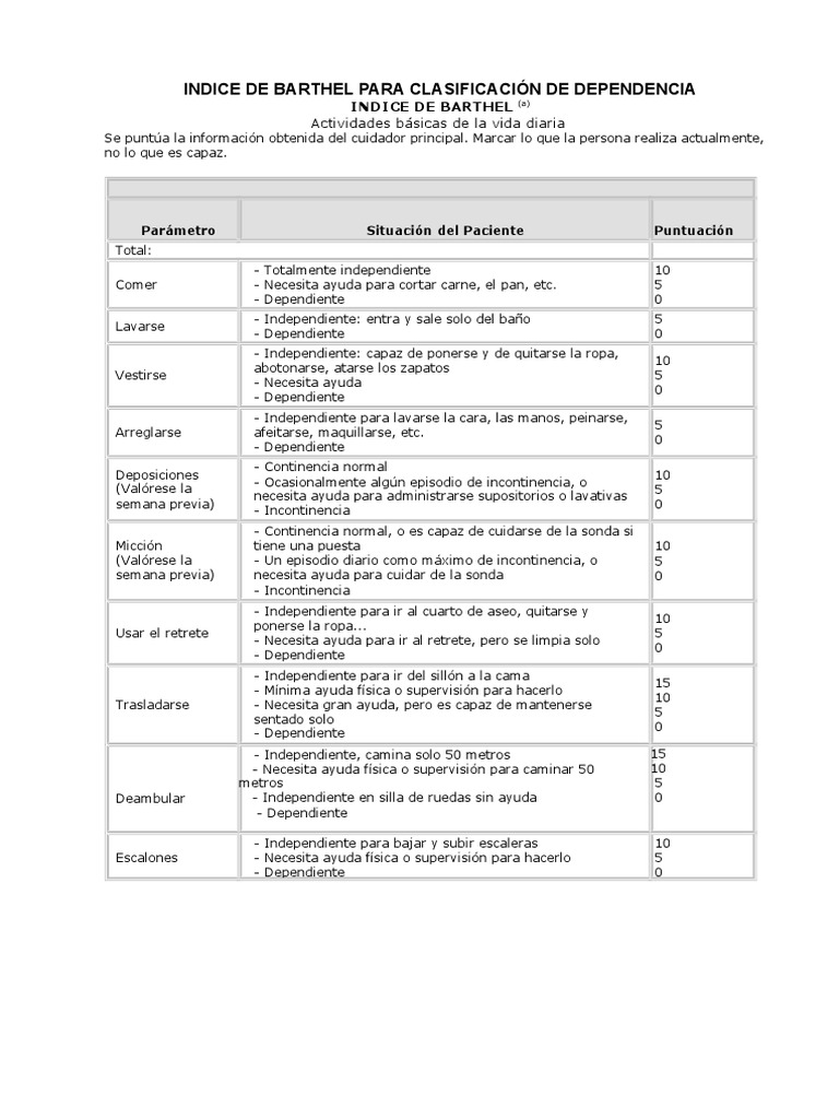 Indice de Barthel para Clasificación de Dependencia PDF Bienestar