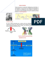 A PKU Ou Fenilcetonúria