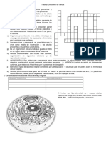 Trabajo de Célula