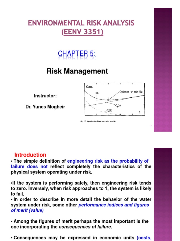 Engineering Risk Management Guide | PDF