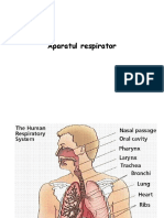 Aparatul Respirator