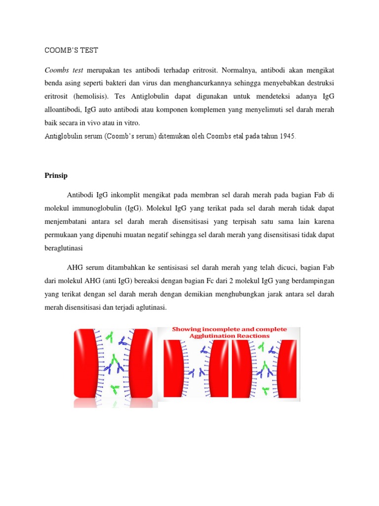 Panduan Lengkap Coombs Test untuk Diagnosa | PDF