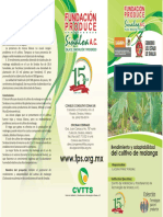 rendimiento_y_adaptabilidad_del_cultivo_de_malanga.pdf