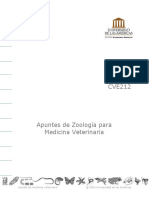 Apuntes Zoología