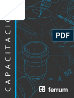 Manual de capacitacion Ferrum.pdf