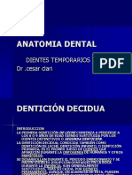 49051797 Anatomia Dental Temporales