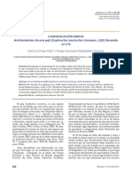 Edentata 15_Poma Urey_Avistamientos de una peji.pdf