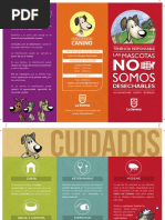 Triptico Informativo