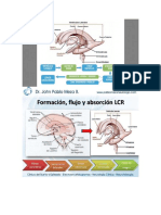 En El Interior Del Cerebro y de La Médula Espinal Existe Un