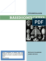 181340428-Basidiomycetes-Caracteristicas-Generales-pdf.pdf