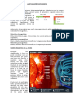 Campo Magnético Terrestre