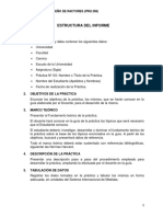 Estructura Del Informe