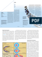 Perforating Practices That Optimize Productivity