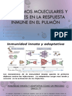 Mecanismos Moleculares y Celulares en La Respuesta Inmune