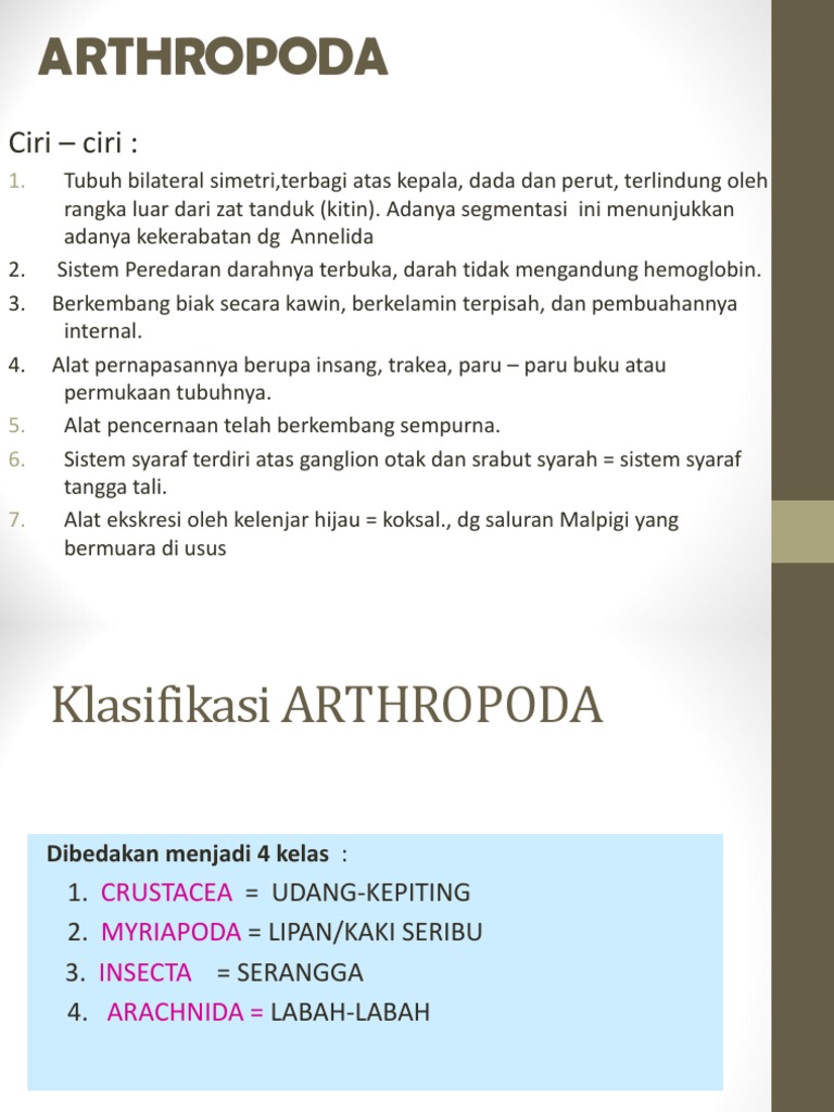 Bab 8 Arthropoda