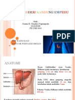 Tugas Gallbladder