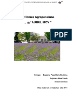 Fisa Proiect - Agropensiune Aurul Mov-3PLan