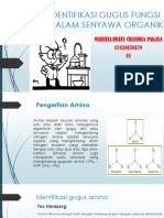 Identifikasi Gugus Amin